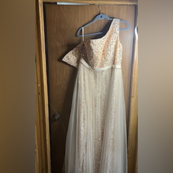 Meghan Watts Champagne Ball Gown main image 1